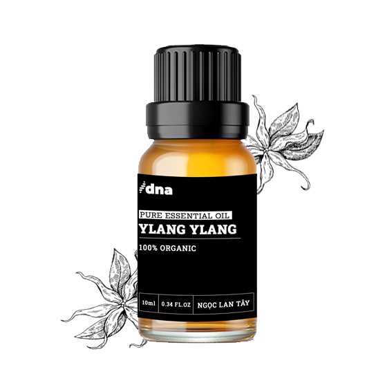 Tinh Dầu Ngọc Lan Tây