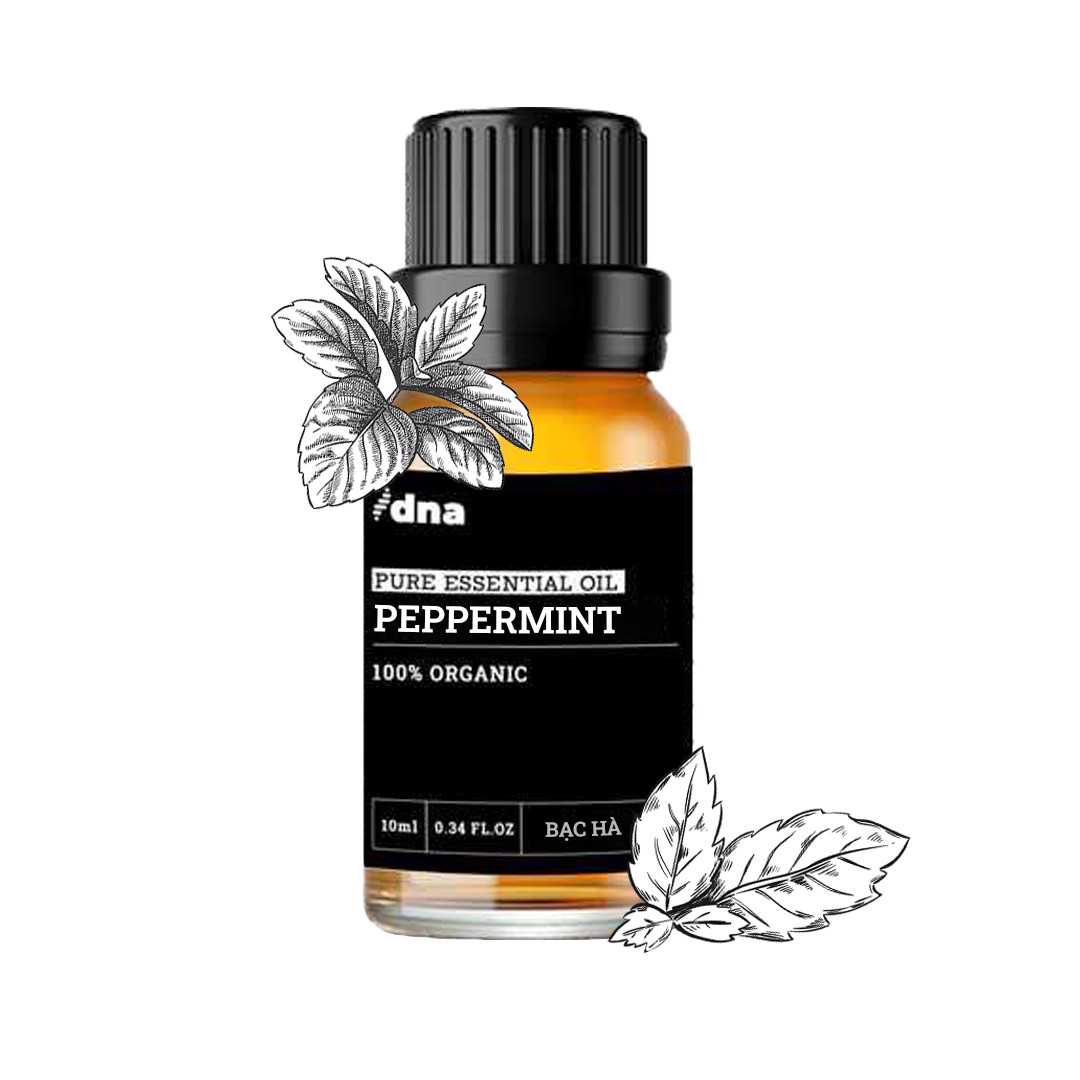 Tinh Dầu Bạc Hà