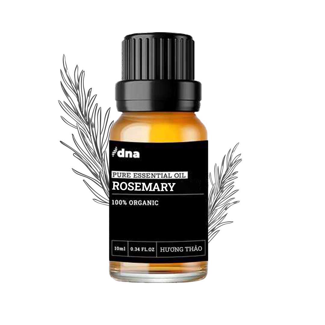 Tinh Dầu Hương Thảo